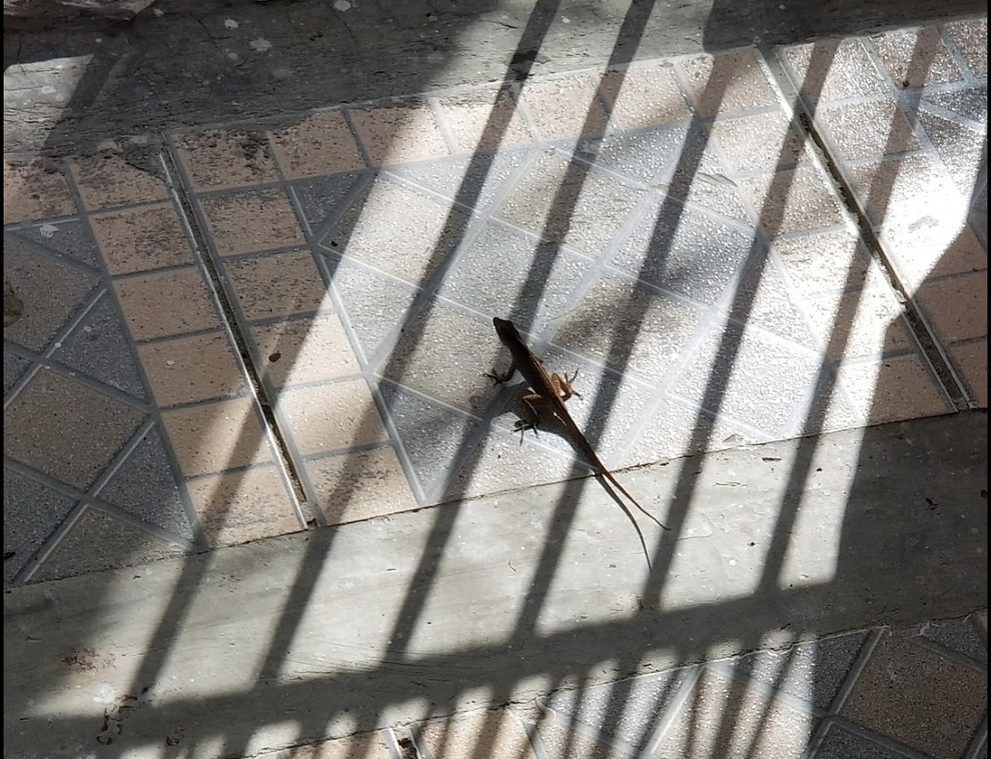 Screen Shot 2018-09-17 at 1.25.31 PM