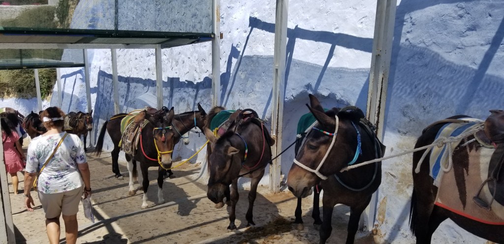 Santorini, Greece 1: Dodging Donkeys on the Steps of&nbsp;Doom