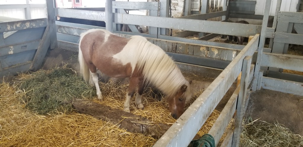 The 10 Best Things to Do in Lancaster from a City&nbsp;Boy